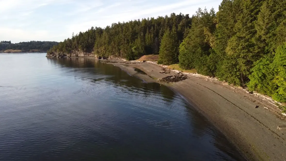 Photo showing the beach at Saltery Bay on Newcastle Island