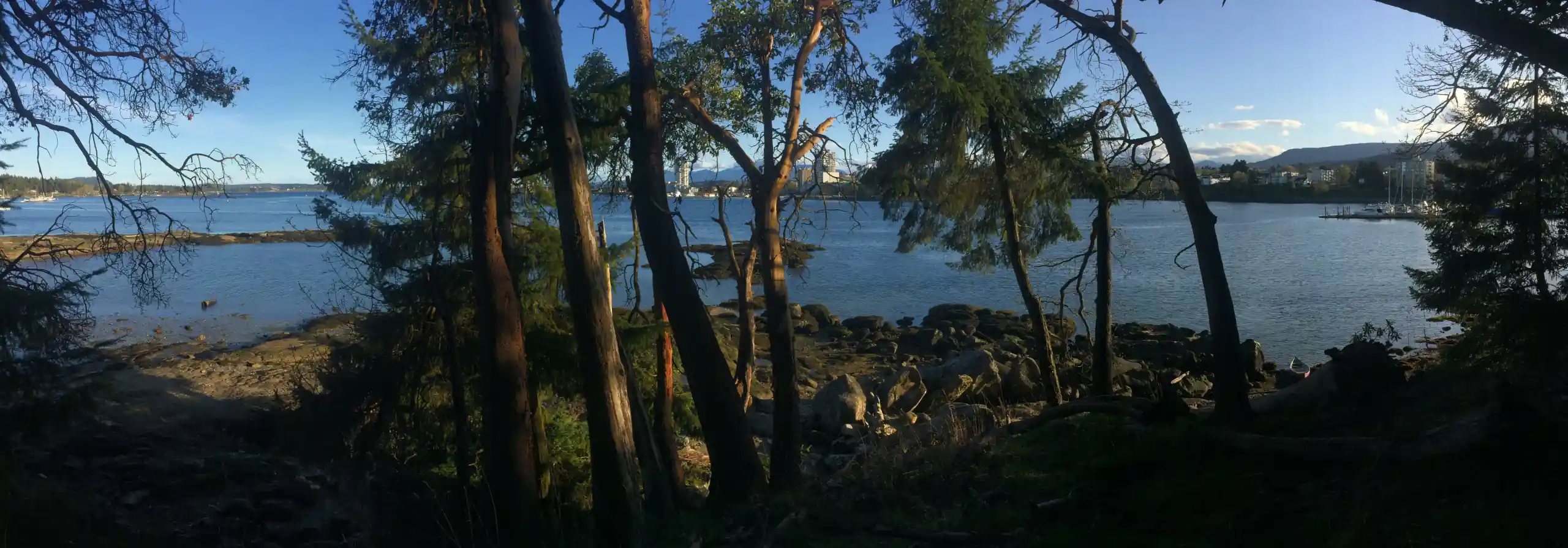 Photo showing view of Nanaimo Harbour as seen through some trees on Saysutshun (Newcastle Island) 