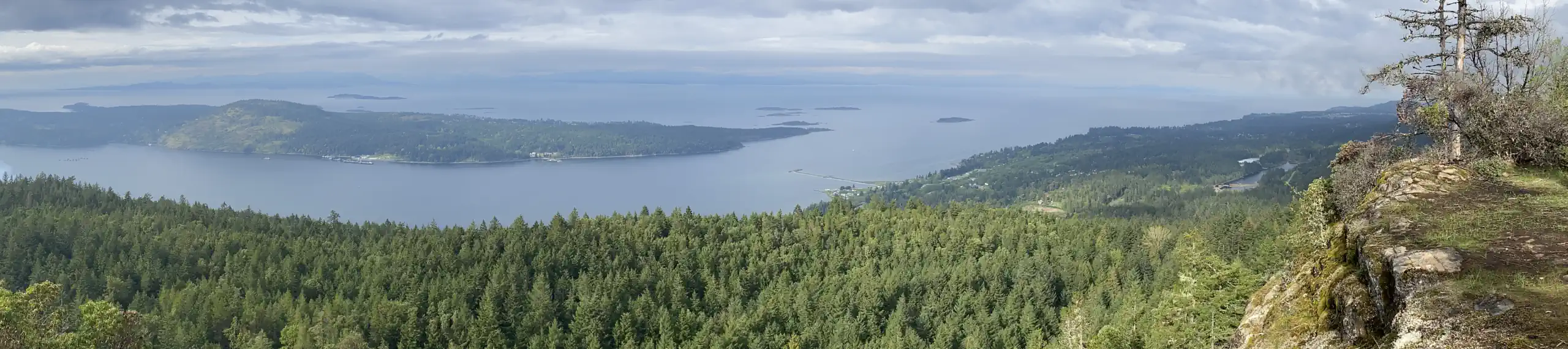 Photo taken from a viewpoint overlooking a vast space below, with forested lands and ocean.
