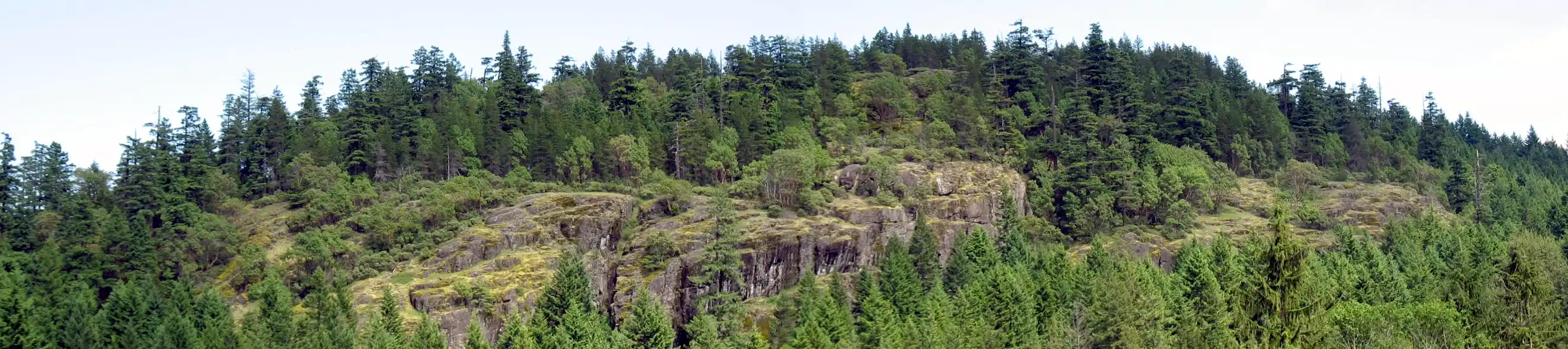 Photo showing a verdant, forested rocky ridge with some steep faces.